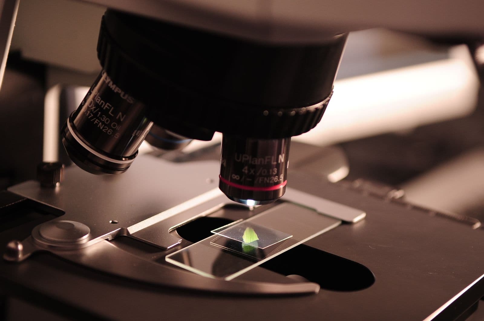 Scientific discovery and research